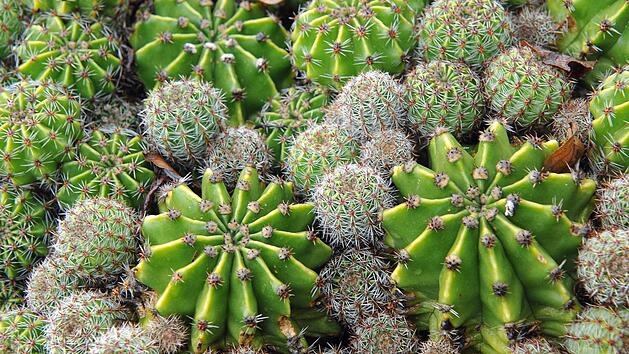 Symbolfoto: Ursula D&uuml;ren/dpa