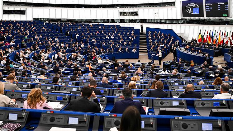 Plenarsitzung des Europ&auml;ischen Parlaments