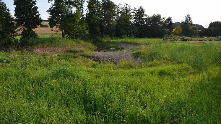 Stadtteilspaziergang in Albertshausen. Foto: Peter Rauch