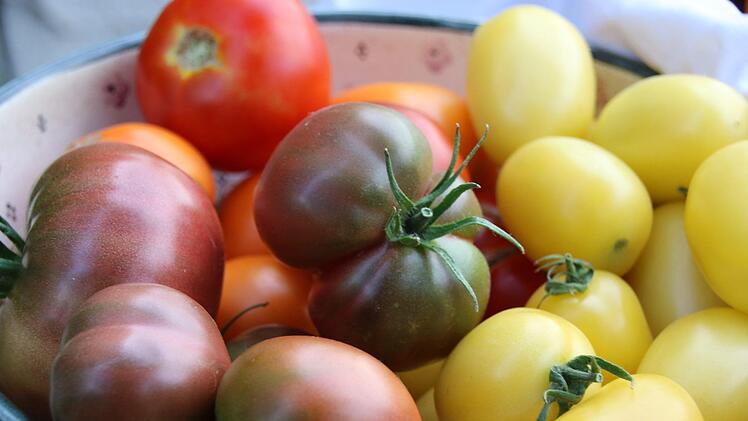 Eine schöner als die andere: Michaela Dörnhöfers TomatenDagmar Besand