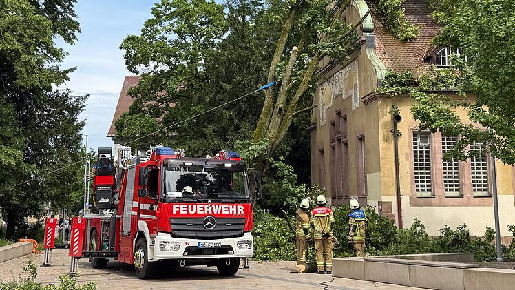 Heftige Gewitterfront trifft Mittelfranken: B&auml;ume st&uuml;rzen auf H&auml;user - Deutscher Wetterdienst warnt vor weiteren Gewittern
