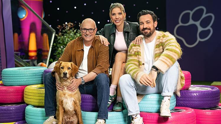Mit "Top Dog Germany" hat sich RTL gegen die Fortf&uuml;hrung eines Quotengaranten entschieden. Die Show ist auch auf RTL+ abrufbar.