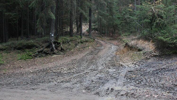 Vom Wegekreuz "7 Fuhren" führt der bisherige Forstweg auf den Rainberg. Der neue Weg wird weiter links verlaufen.  Foto: Friedwald Schedel