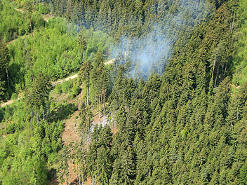 Hohe Waldbrandgefahr in Oberfranken: Regierung ordnet Luftbeobachtung an