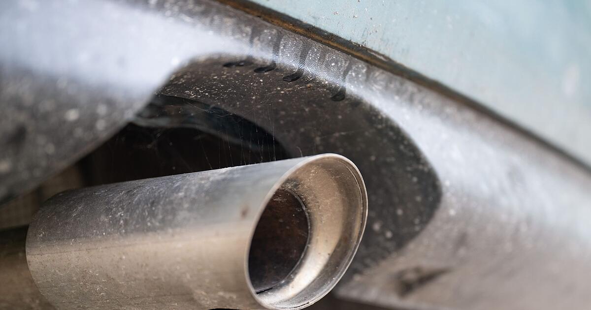 -konomen-kritisieren-Abkehr-vom-Verbrenner-Aus-scharf