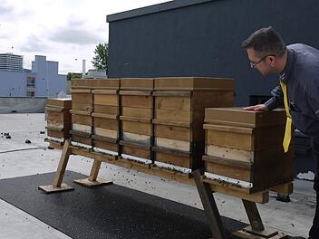 Markt-Inhaber Michael Seidl begutachtet einen Teil der Bienenstöcke, die seit dem Frühjahr auf seinem Dach stehen. Foto: Rebecca Vogt