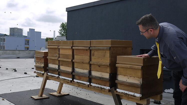 Markt-Inhaber Michael Seidl begutachtet einen Teil der Bienenstöcke, die seit dem Frühjahr auf seinem Dach stehen. Foto: Rebecca Vogt