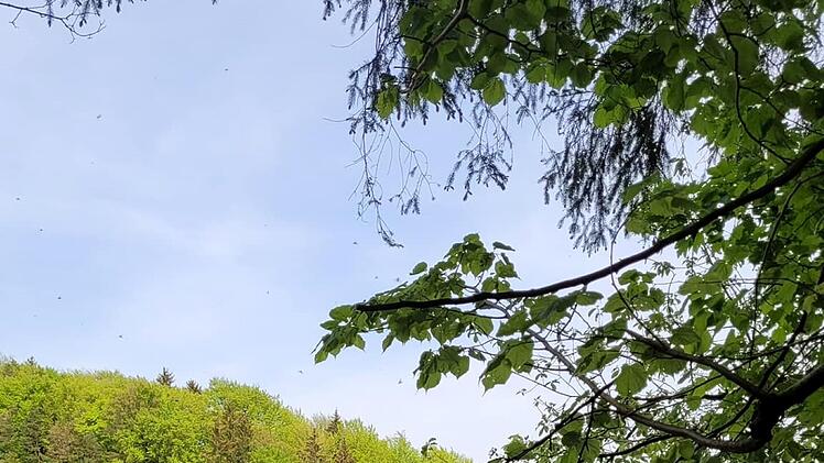 N&uuml;rnberg: "Festsitzendes Kind" - Bergwacht mit mehreren Eins&auml;tzen