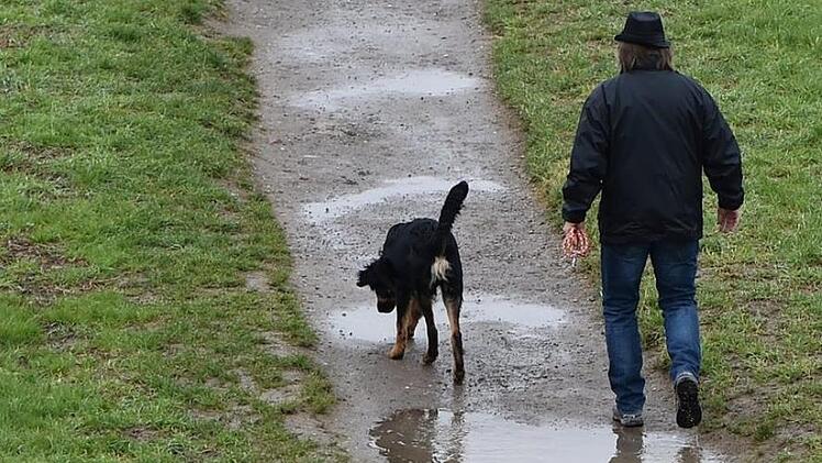 Wegen Körperverletzung, Sachbeschädigung und Beleidigung ermittelt die Schweinfurter Polizei gegen einen noch unbekannten Hundehalter.   Symbolfoto: Julian Stratenschulte/dpa