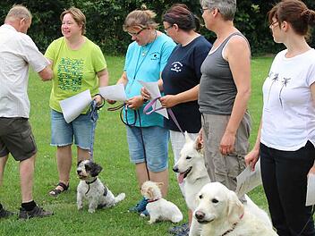 Wau! Alle vierbeinigen Prüflinge haben beim "Treffpunkt Hund Michelau" die Prüfung zum Begleithund bestanden.  Foto: Klaus Gagel