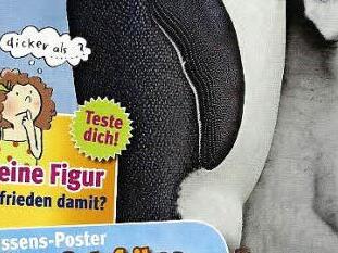 Ausschnitt aus der Titelseite der Januar-Ausgabe von Medizini mit dem Hinweis auf den Figur-Test für Kinder (links). Foto: Petra Malbrich