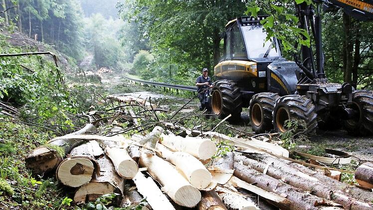 Erst an der Staatsstraße kann der Harvester zum Einsatz kommen.  Fotos: Josef Hofbauer