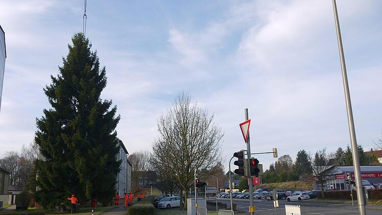 Gestern  hat das  Team des städtischen Bauhofs den  Weihnachtsbaum auf den Neustadter Marktplatz gebracht.Berthold Köhler