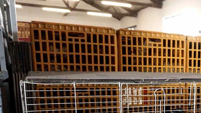 Foto: Richard Sänger