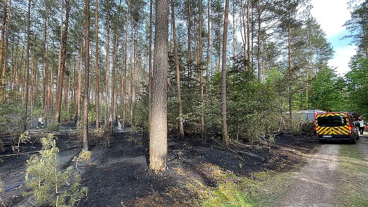 Strullendorf: Waldbrand im Landkreis Bamberg - "Wären nicht zurechtgekommen"