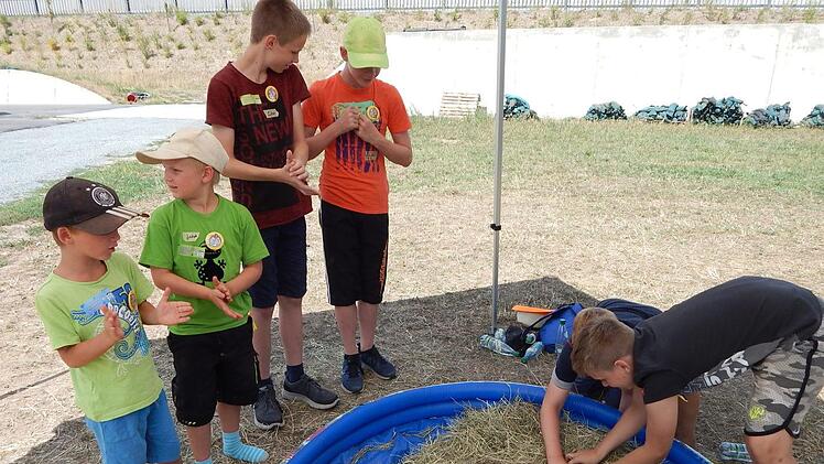 SchatzsucheHorst Wunner