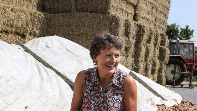 Martina Wild zeigt geerntete Gelbe Rüben, dahinten sind große Quader mit gepresstem Stroh zu erkennen, Mit dem Stroh wird täglich der Entenstall gestreut. Foto: Barbara Herbst