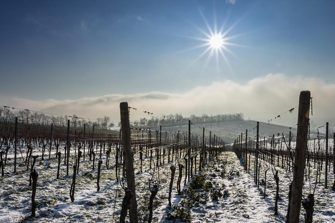 Fotos Konrad Thomann