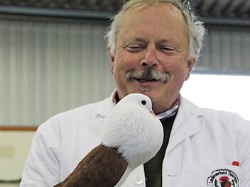 Preisrichter Jürgen Weichold begutachtet eine Taube und gibt ihr die Bewertung "hervorragend". Foto: Katharina Müller-Sanke
