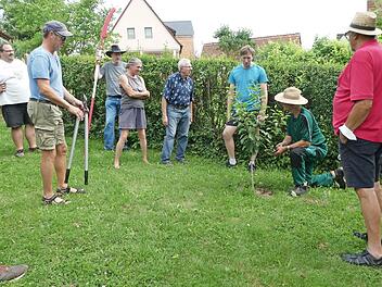 Gartenexperte Edgar Brohm zeigt den Gartenfreunden aus Ebern, welche Arbeiten aktuell an Obstgehölzen anfallen.