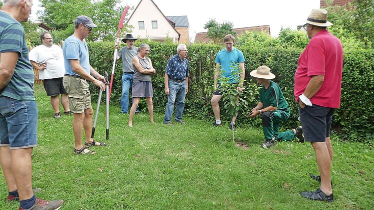 Gartenexperte Edgar Brohm zeigt den Gartenfreunden aus Ebern, welche Arbeiten aktuell an Obstgehölzen anfallen.