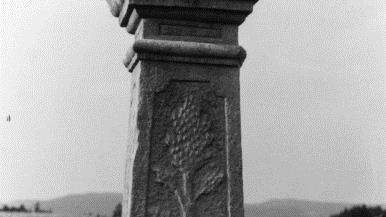 Der Laubbaum mit dem abgebrochenem Ast, darunter der abgestürzte Michael Zipfel