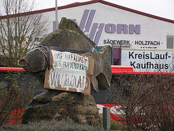 So sah der Karpfen im Karpfenkreisel am Montagmorgen aus. Foto: Karina Brock
