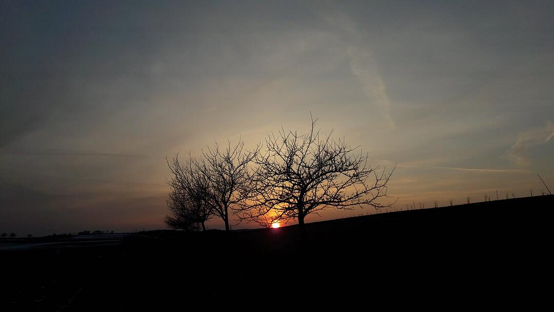 Die schönsten Frühlingsfotos aus den Haßbergen