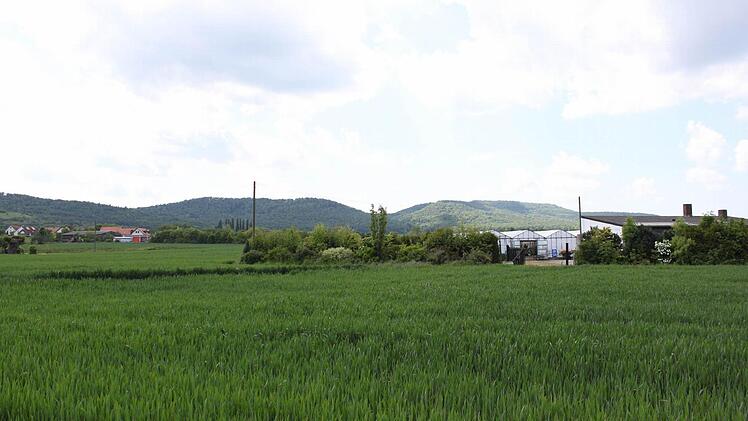 Blick auf das Grundst&uuml;ck der ehemaligen G&auml;rtnerei Kr&auml;mer, im Hintergrund ist Zell zu sehen.