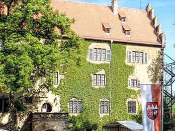 Der Hauptausschuss des bayerischen Bezirketages tagte in Bad Kissingen. Eine Einrichtung des Bezirks Unterfranken ist zum Beispiel das  Schloss Aschach (Foto), aber auch das Thoraxzentrum in Münnerstadt oder das Pflegeheim Schloss Römershag. Foto: Dieter Britz