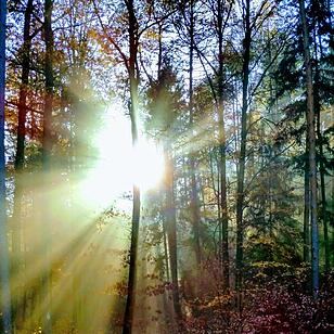 Die schönsten Fotos im Herbst aus Coburg und Umgebung