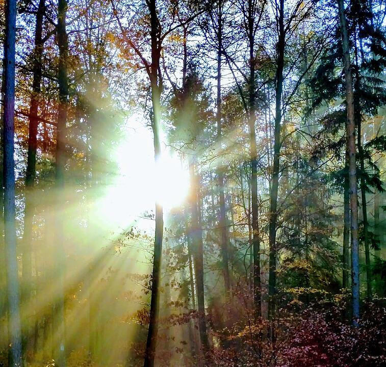 Die schönsten Fotos im Herbst aus Coburg und Umgebung