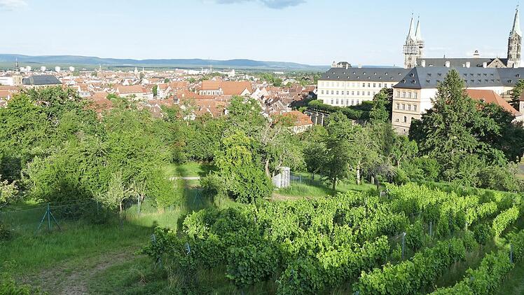 Beim Blick vom Ostplateau auf dem Michelsberg liegt Bamberg zu Füßen. Foto: Marion Krüger-Hundrup