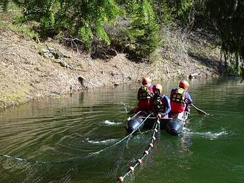 Die Kissinger Wasserwacht installiert ein Netz im Bergsee am Tintenfass. Bis auf den Grund soll es den Nachwuchs einer ganz besonderen Kröte vor den gefräßigen Hechten schützen, die auch in dem See leben. Großer Aufwand für eine kleine Kröte. Der Grund: In ganz Bayern ist diese spezielle Art nur noch in der Rhön zu finden.