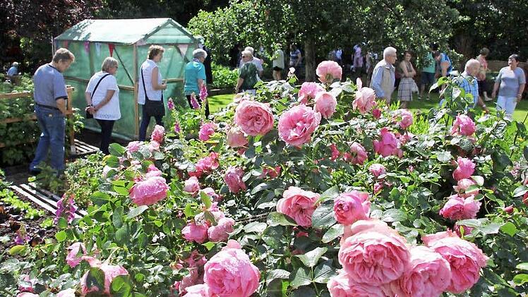 Auf Rosen gebettet, vor all den Beeten: Ein Garten unmittelbar neben der Staatsstraße von Ebern nach Haßfurt. Fotos: Ralf Kestel