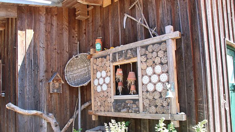 Blick in den Garten von Rainer und Rosi Gilke. Foto: Jürgen Gärtner