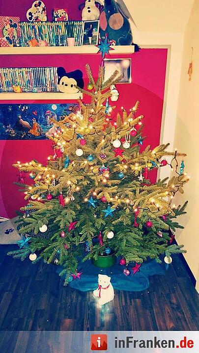 Weihnachten in Franken: Die Christbäume unserer Leser