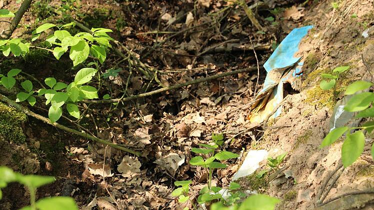 Jahrzehntealter Hausmüll quillt aus der Böschung der stillgelegten Deponie bei Lonnerstadt. Foto: Christian Bauriedel