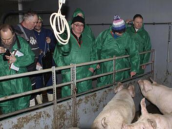 Einen "ungewöhnlichen Besuch" hatten die Schweine beim Stallgespräch des Bayerischen Bauernverbandes in Glosberg auf dem Hof der Familie Diller.  Foto: Michael Wunder