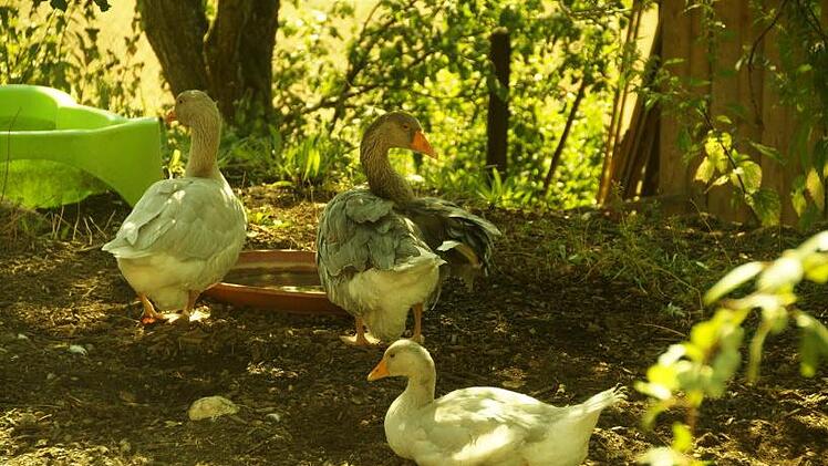 Hier ist die Welt noch in Ordnung