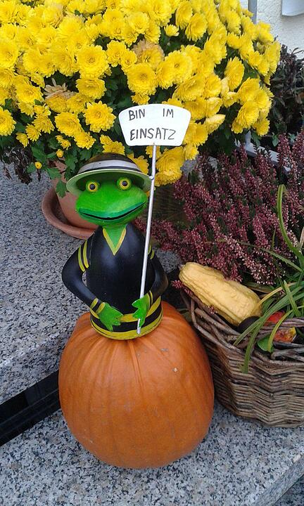 Leserbilder zu Halloween II