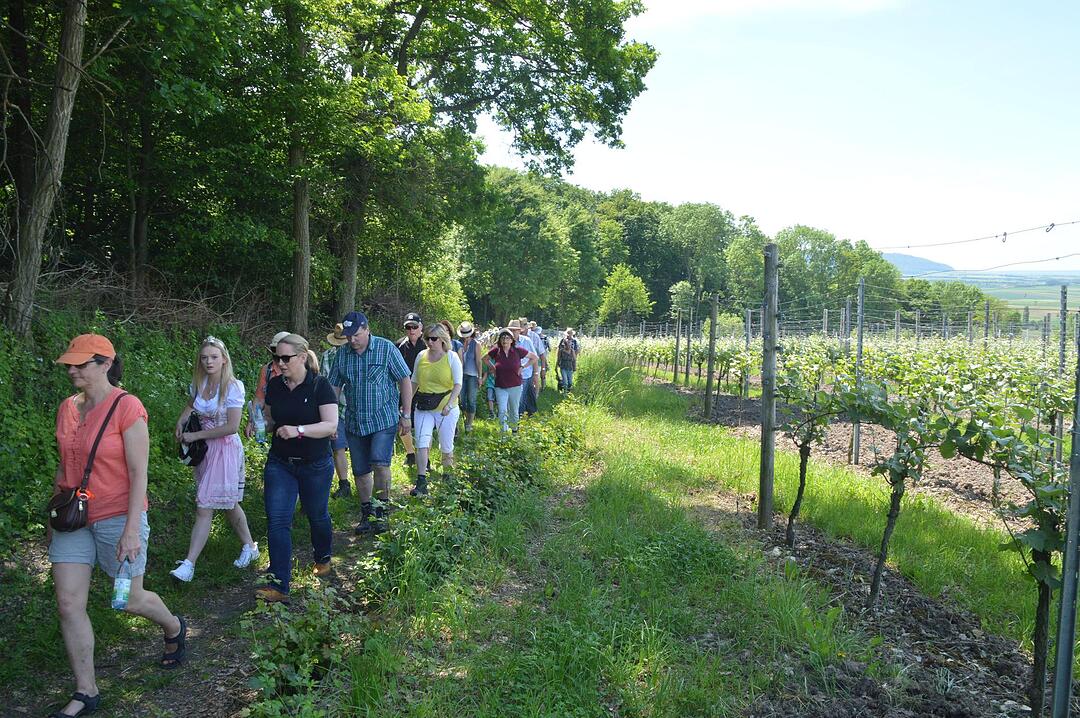 Landkreiswanderung 2017