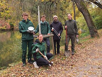 Bamberg baut digitale Unterstützung für klimaangepasstes Stadtgrün aus