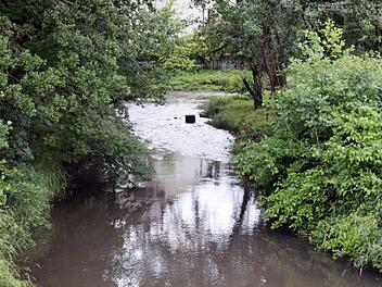 Zurzeit führt der Steinacharm durch starke Regenfälle genügend Wasser nicht aber in Trockenzeiten. Foto: AW