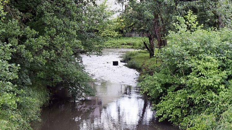 Zurzeit führt der Steinacharm durch starke Regenfälle genügend Wasser nicht aber in Trockenzeiten. Foto: AW