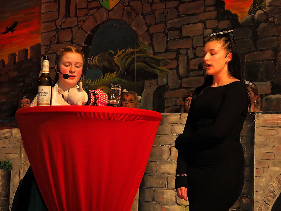Fasching 2025 im Landkreis Bad Kissingen.