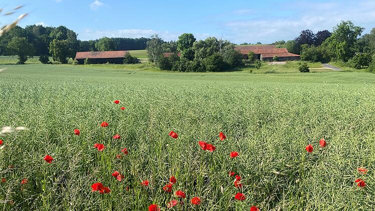 Die Ernstfarm Coburg soll jetzt verkauft werden.