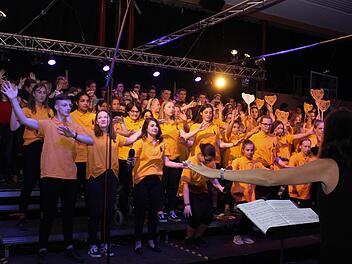 Höchstadter Gymnasiasten und Mittelschüler 2018 bei der  konzertanten Aufführung des Musicals "König der Löwen" Evi Seeger (Archiv)