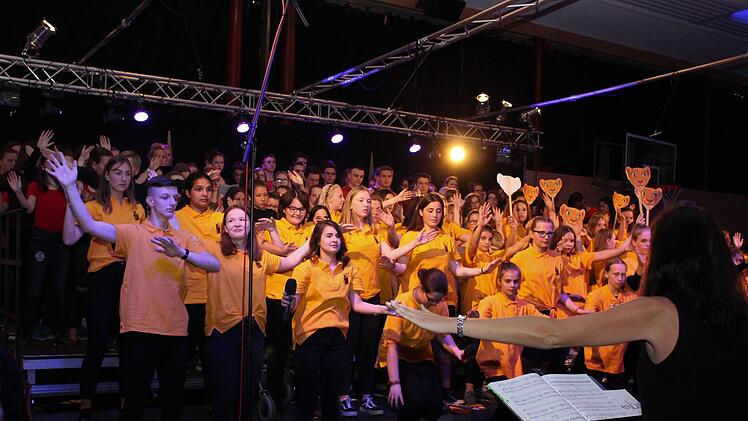 Höchstadter Gymnasiasten und Mittelschüler 2018 bei der  konzertanten Aufführung des Musicals "König der Löwen" Evi Seeger (Archiv)