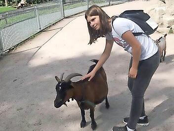 Im Tierpark Falkenstein suchten die Inklusionstriathleten den Kontakt zu den Tieren.